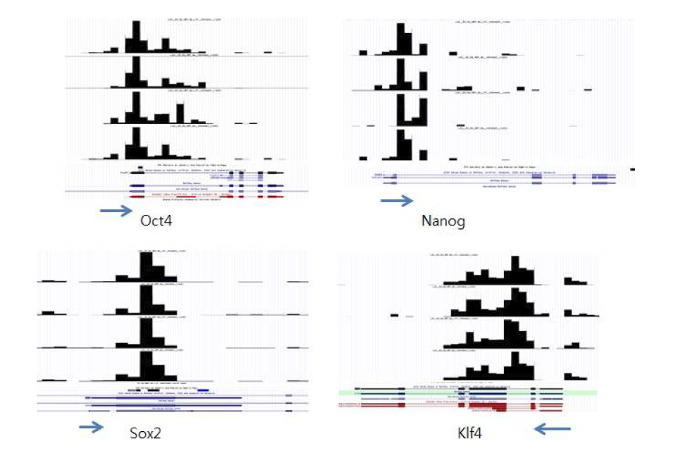 네 가지 plur ipotency 관련 전사인자에서의 히스톤 H 3K4me3 enr ichment 패턴