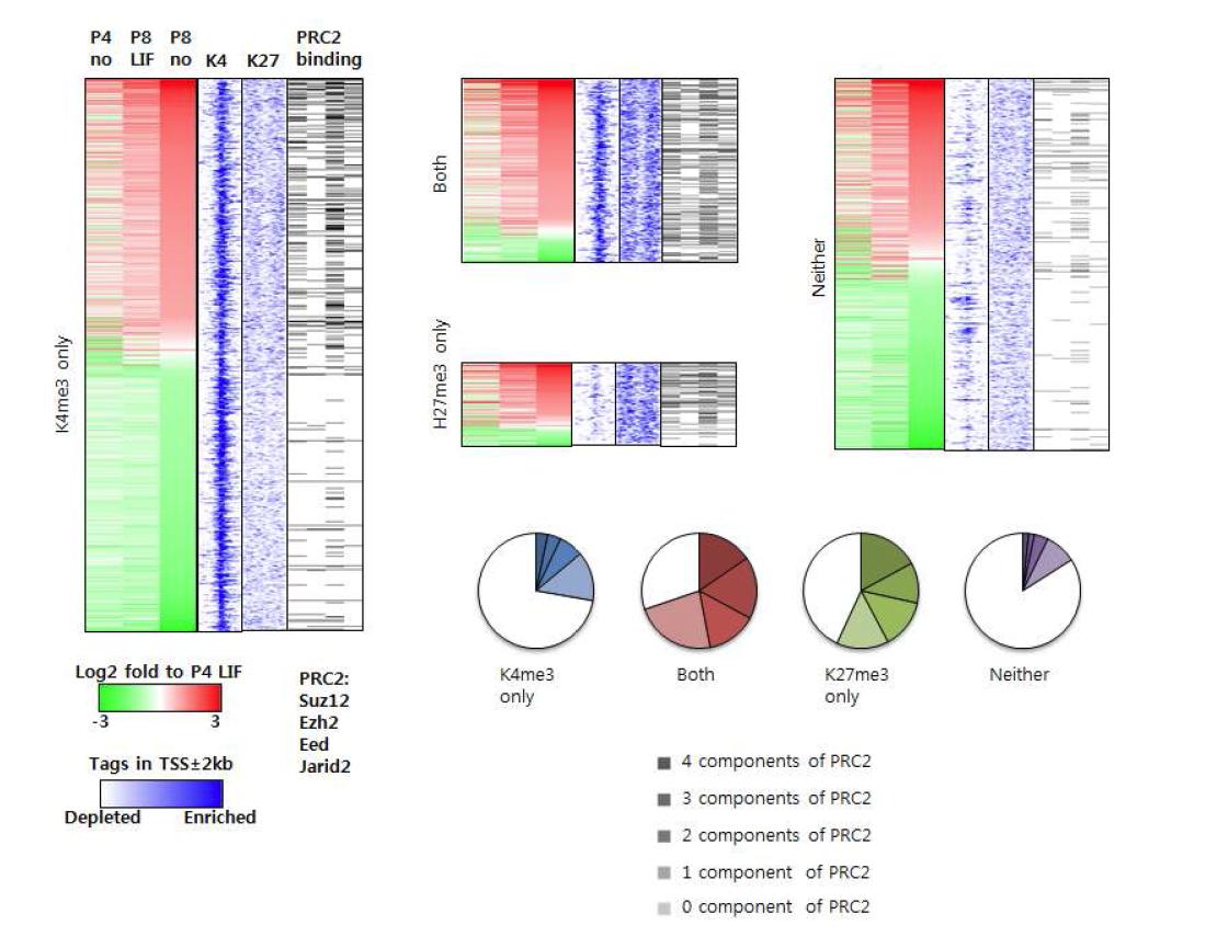 조건 별 유전자 발현 변화 패턴 및 배아줄기세포에서 히스톤 변형 형태와 PRC 구성요소들의 binding 패턴
