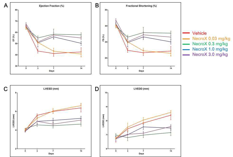 NecroX 용량에 따른 심근경색 후 좌심실구혈율 (A), 좌심실단축율 (B), 좌심실 수축기말 직경 (C) 및 좌심실 이완기말 직경 (D)의 변화