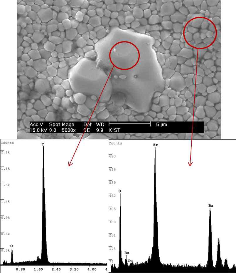 전해질 표면 석출물 SEM EDS 결과