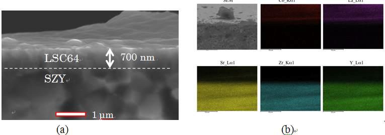 SEM photograph and EDS mapping of LSC64 dense film deposited on SZY