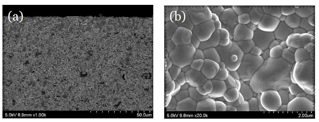 NiO-BZCY352 음극지지체 위에 코팅된 BZCY352 전해질의 (a) 단면 및 (b) 표면 미세구조