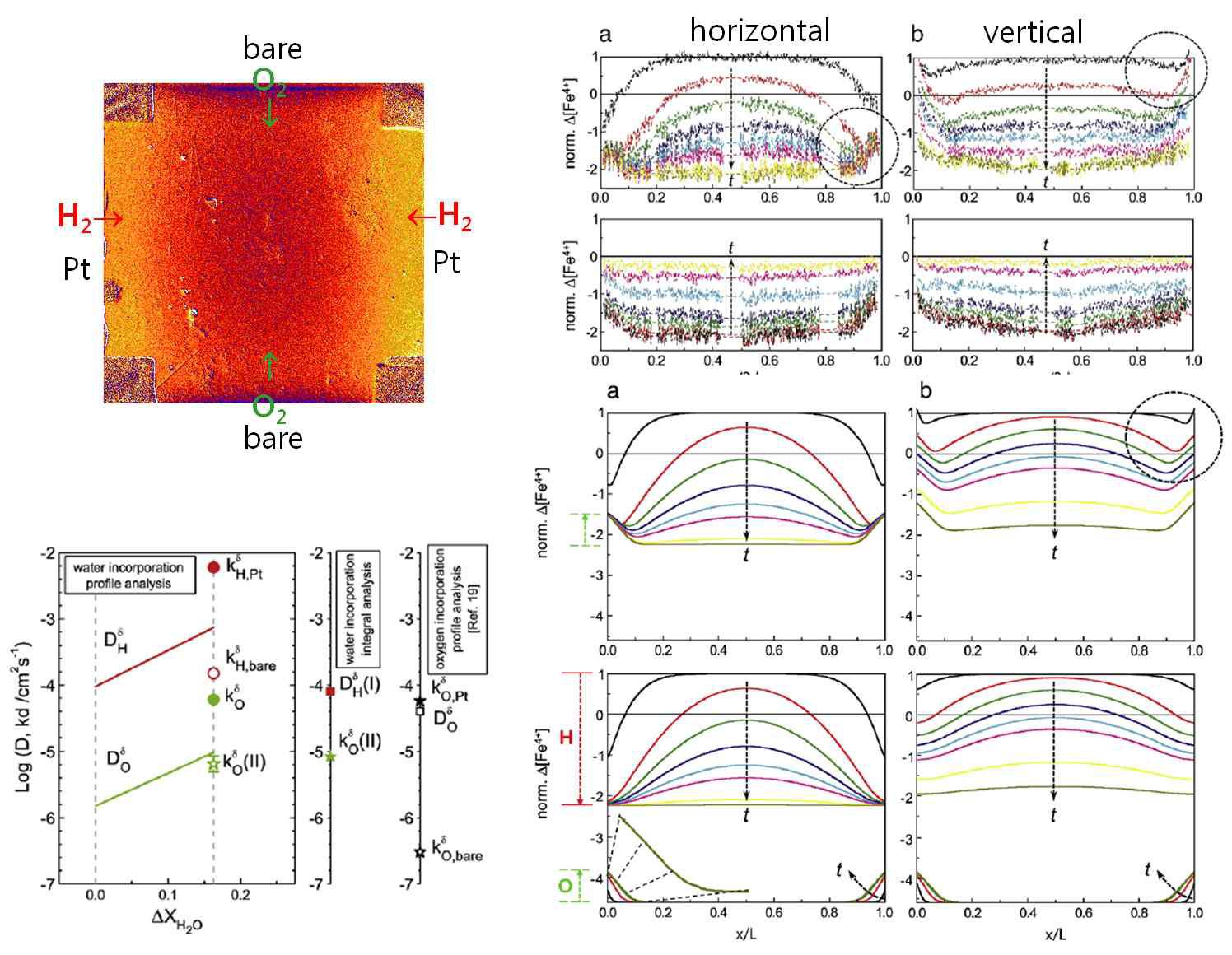 수화정도에 지수함수적으로 의존하는 수소와 산소의 확산계수로 (왼쪽 아래) 산화-환원 프로파일을 (오른쪽 위) 유한차법으로 묘사함 (오른쪽 아래). 표면 조건에 따라 물첨가 반응 양상이 확연히 다름.