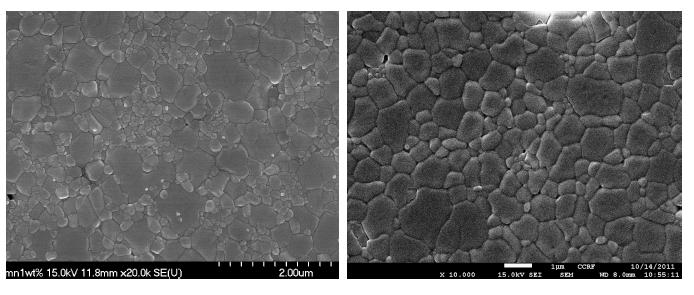 1wt% (좌), 3wt% (우) MnCO3 첨가 BZ10Y 의 미세구조