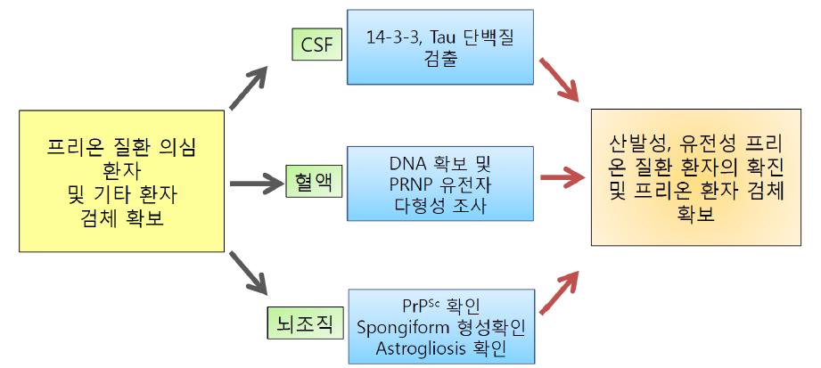 Scheme of diagnostic methods for prion diseases.