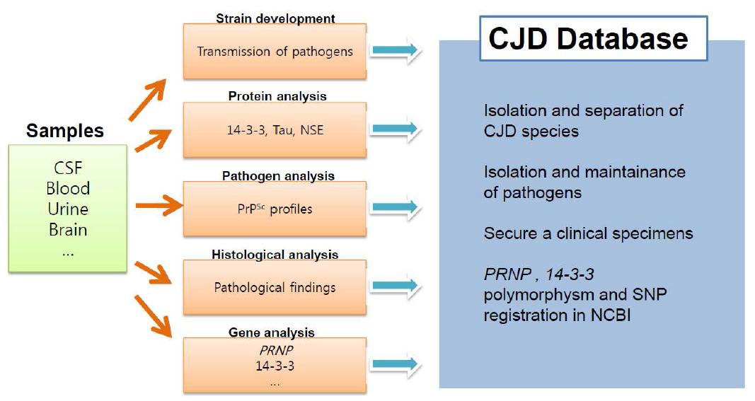 Scheme of CJD database of Korea .