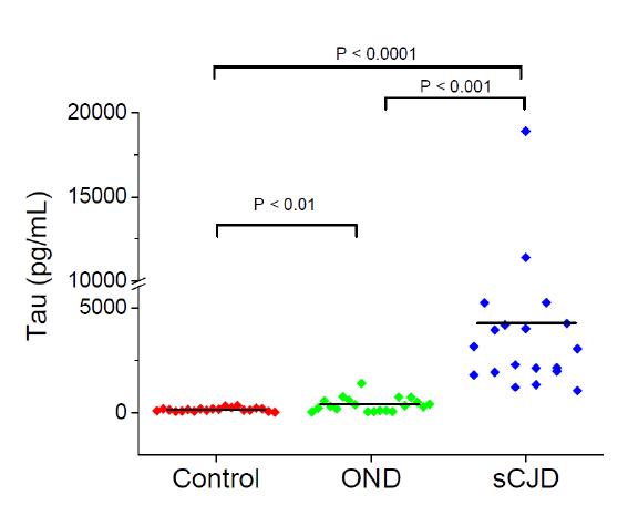 Detection of total tau protein in cerebrospinal fluid.