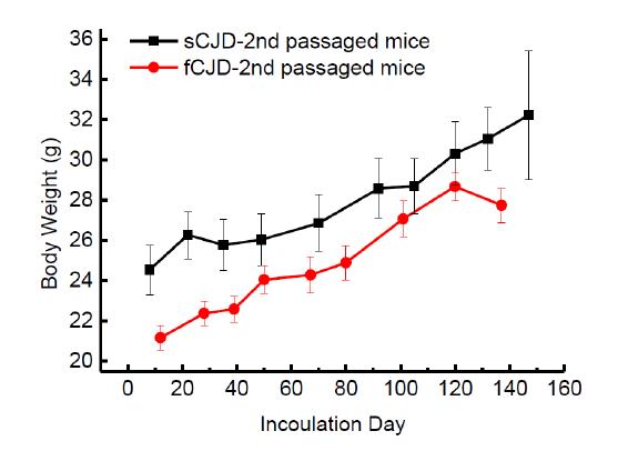 Change of body weights of Human PrP Transgenic mice. Body weight was measured after injection of human Transgenic mice inoculated by sCJD and fCJD brain homogenates.