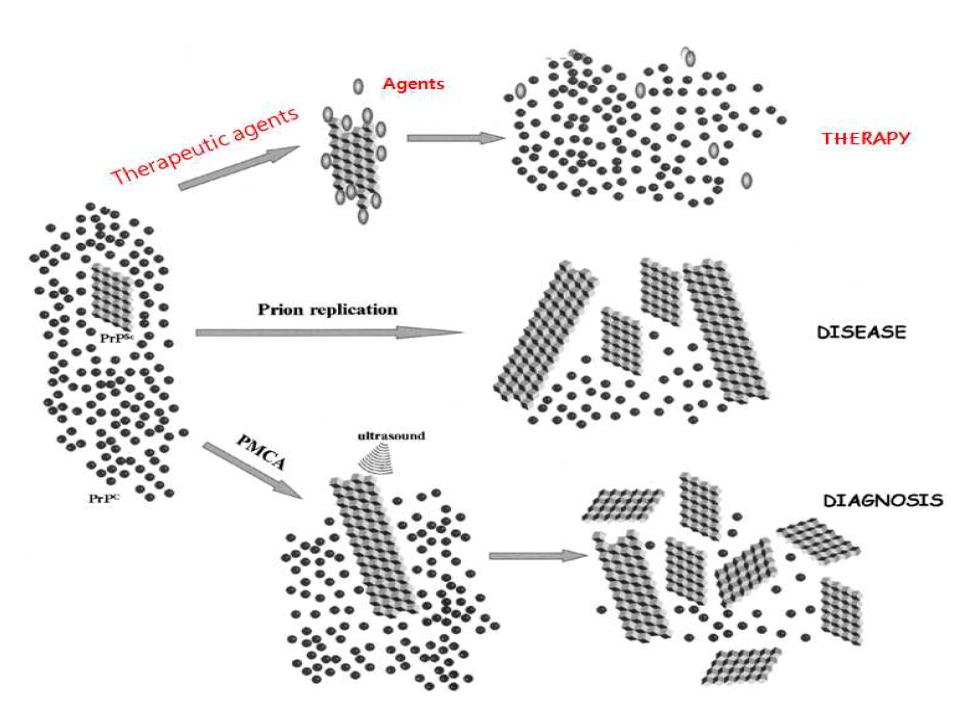 Schematic representation of the prion-replication process (middle) that occurs in vivoduring incubation of the disease and strategies for therapy (top) and diagnosis(bottom).