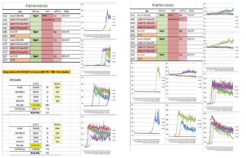 CJD 환자의 뇌조직(좌)의 균질액과 CSF(우)의 샘플에 rHuPrP을 넣고 RT-QUIC을 이용하여생성된 PrPSc 증폭결과