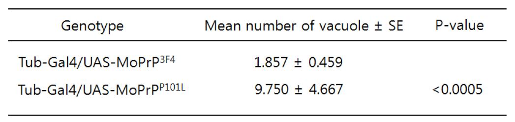 The number of vacuoles in Drosophila adult heads expressing MoPrP3F4 or MoPrPP101L