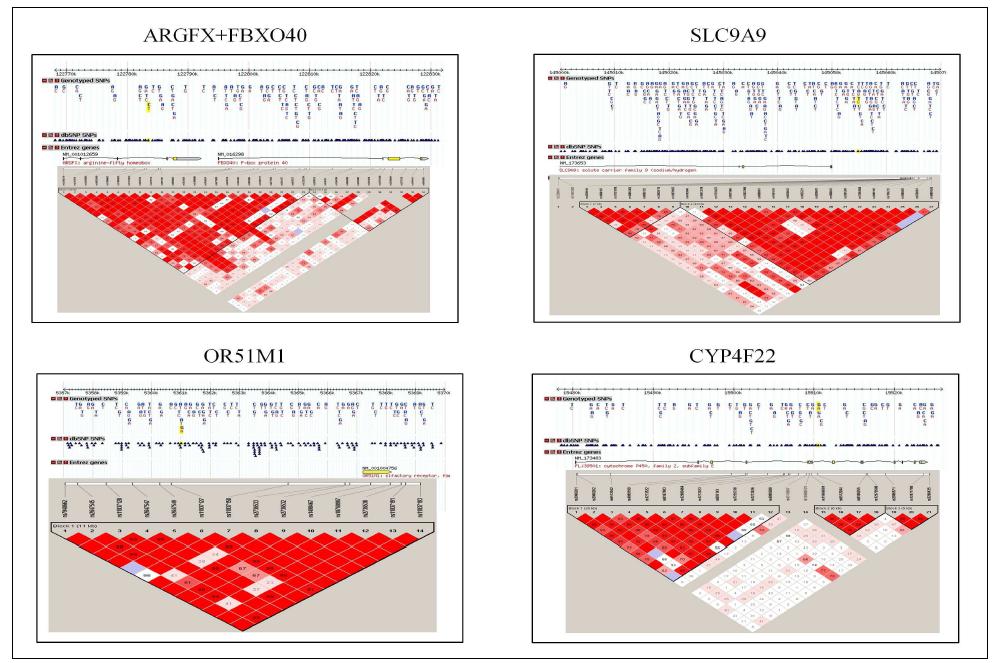 ARGFX+FBXO40, SLC9A9, OR51M1 및 CYP4F22 유전자의 LD