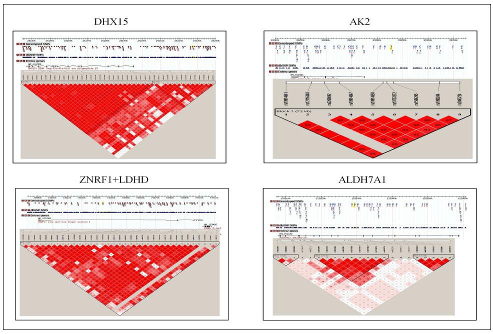 DHX15, AK2, ZNRF1+LDHD 및 ALDH7A1유전자의 LD