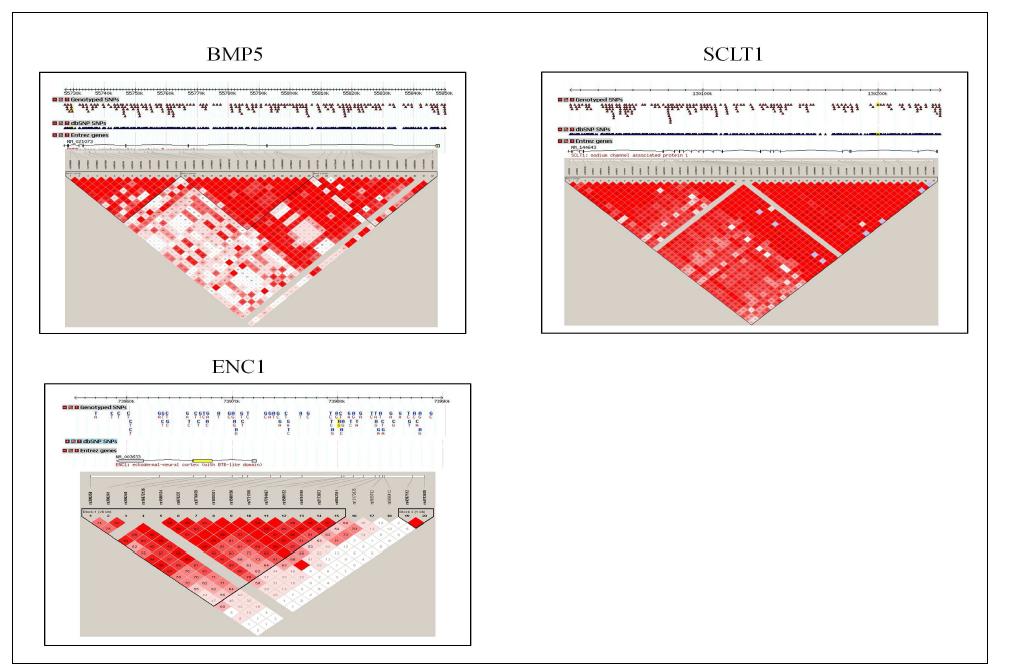 BMP5, SCLT1 및 ENC1 유전자의 LD