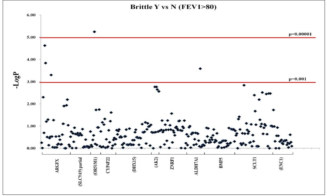 -Log(P-value) plot in the analysis between brittle patient and controls