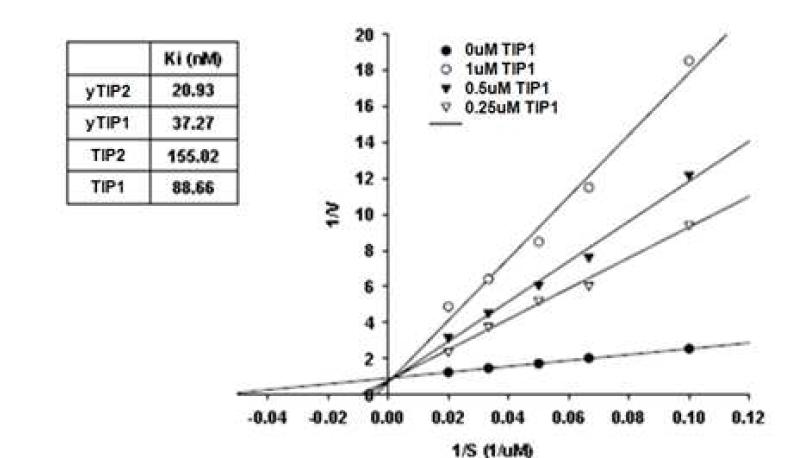 활성억제단백질의 TGase2 inhibitory kinetics.