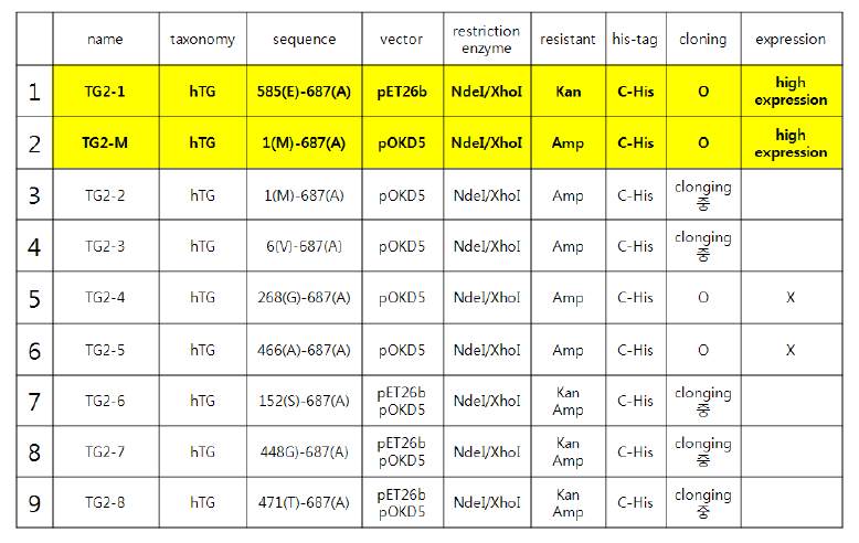 TGase 2 단백질 생산을 위한 다양한 construct