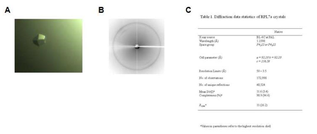 TIP1-1(1(M)-51(L))단백질 결정화 A. 단백질 결정, B. 3.5 A 회절 data, C. 회절 data processing 및 statics