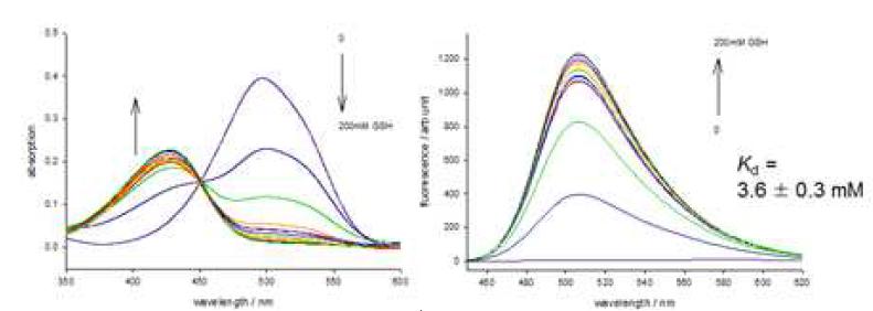 GSH에 의한 UV/Vis 및 형광 스펙트럼 변화