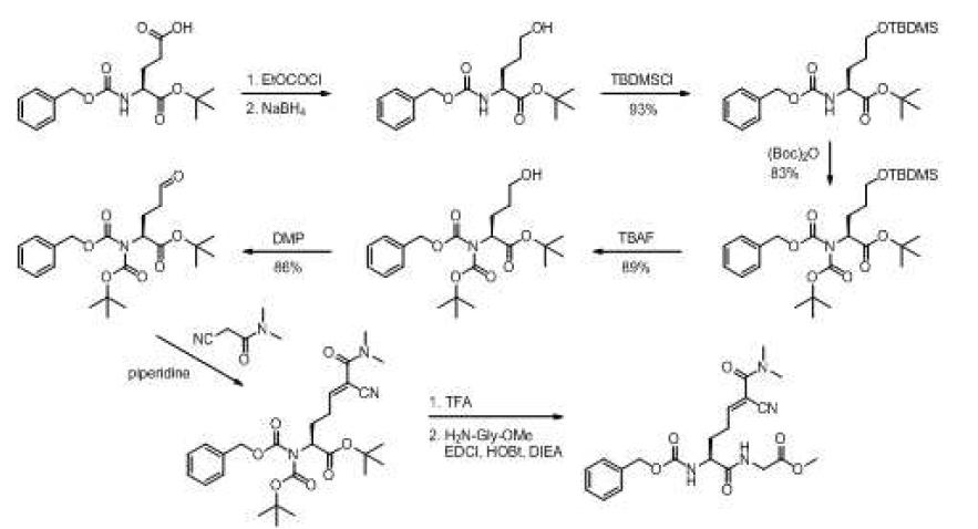 nitrile기가 도입된 친전자체를 가지는 TGase 2 기질유사체 합성