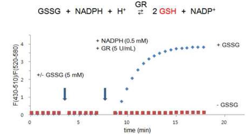 glutathione reductase 반응에 따른 coumarin 화합물 형광비 변화
