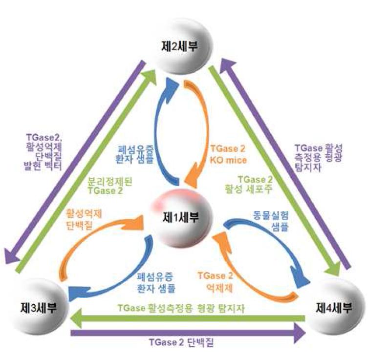 세부과제 사이의 연구 재료 교류