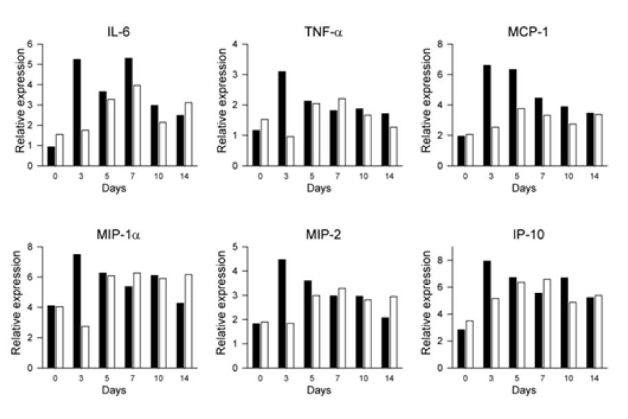 Inflammatory cytokines and chemokines were increased specifically duringthe early phase of bleomycin-treatment