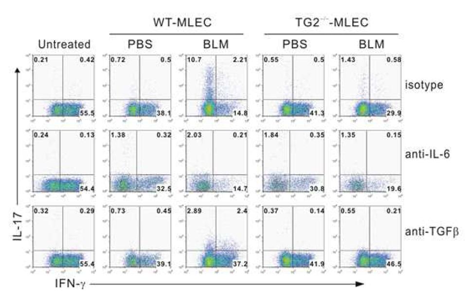 Th17 differentiation was induced by culture supernatant of BLM-treatedpulmonary epithelial cells of wild-type mice