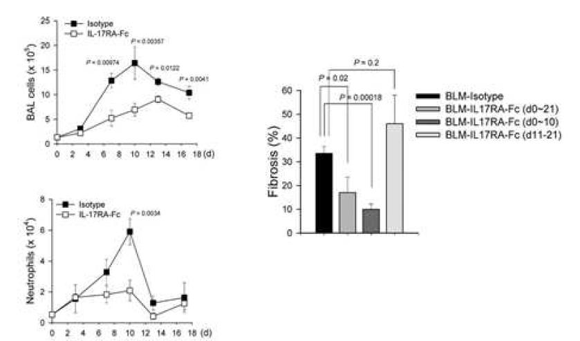 Block of IL-17A and IL-17F signaling through murine IL-17RA-Fc fusion protein ameliorated BLM-induced lung inflammation and fibrosis