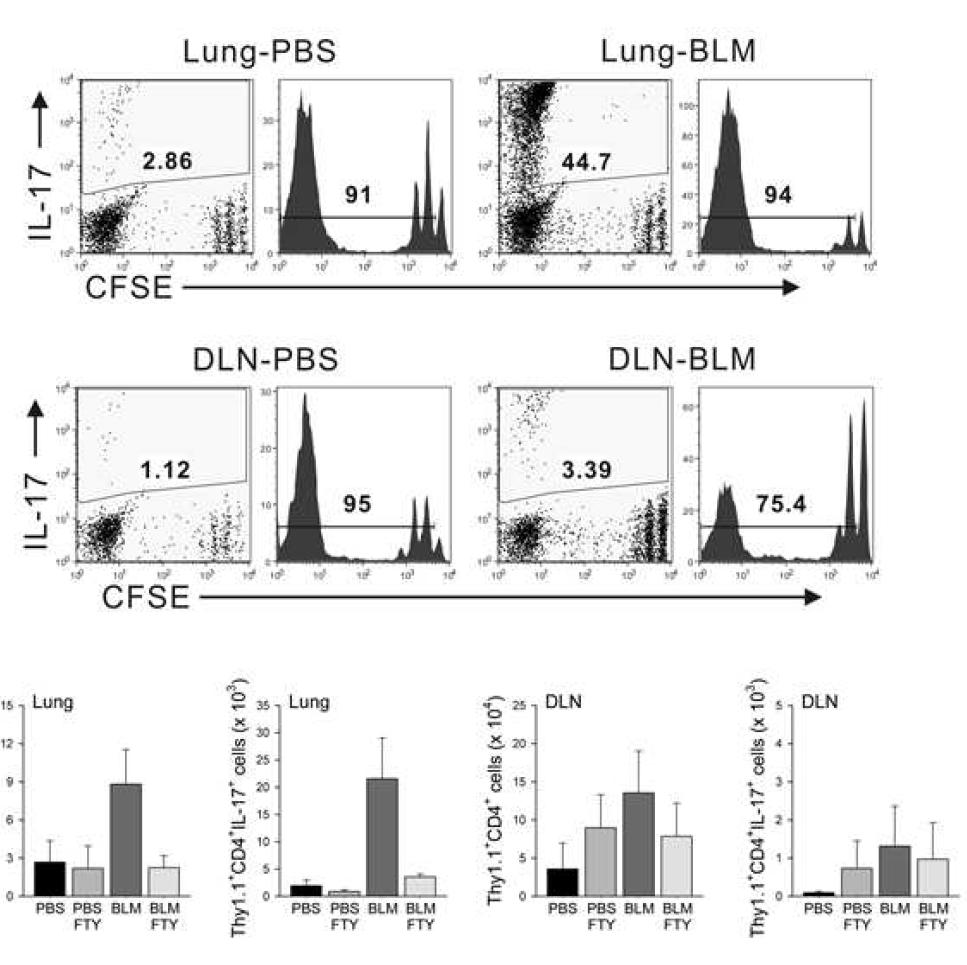 Proliferation and differentiation of naive CD4+ T cells in the lung following BLM treatment : FTY720 study