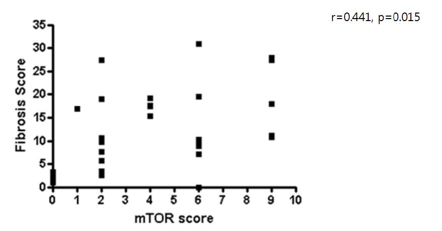 mTOR의 발현 정도와 섬유화 정도의 연관성