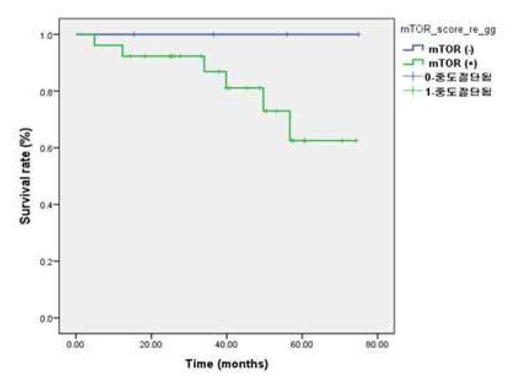 mTOR 발현 양상에 따른 생존기간의 차이