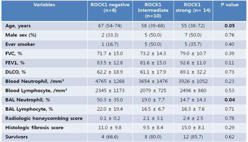 ROCK1 발현 양상에 따른 임상적 특징의 비교