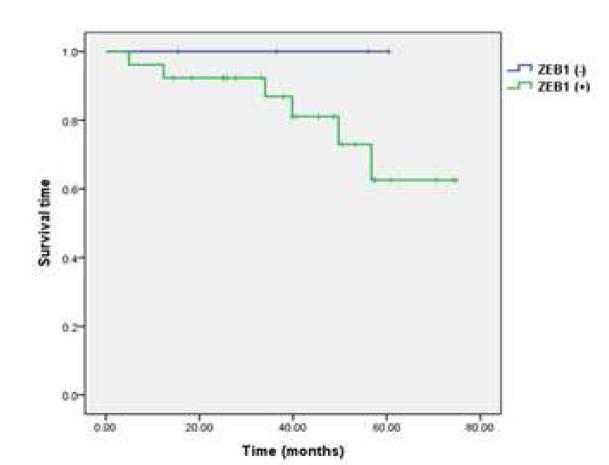 ZEB1 발현 양상에 따른 생존기간의 차이