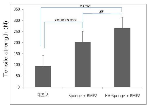 Bio mechanical test 결과 분석