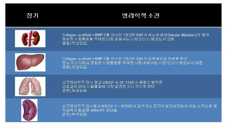 미니돼지 독성시험 결과의 분석