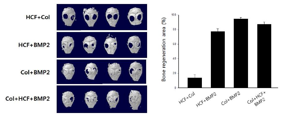 Micro- CT 분석. Col+BMP- 2 그룹과 Col+HCF+BMP- 2 그룹간 통계적 차이는없음.