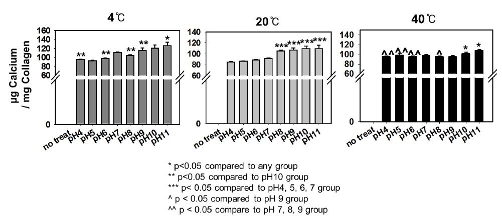 콜라겐 지지체를 여러 온도의 모사체액에 24시간 동안 침지시켰을 때에 pH 변화에따른 아파타이트 코팅 양의 변화.