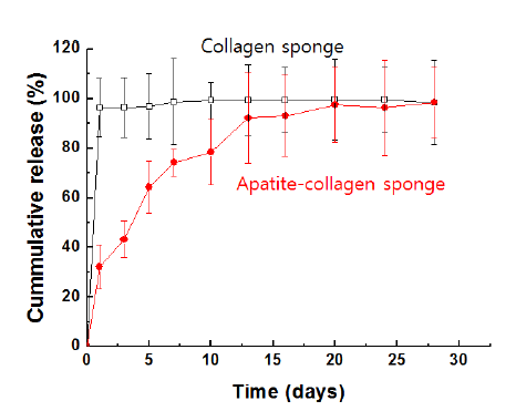 콜라젠 스폰지와 아파타이트가 코팅된 콜라젠 스폰지로부터 in vitro BMP- 2 방출 거동.