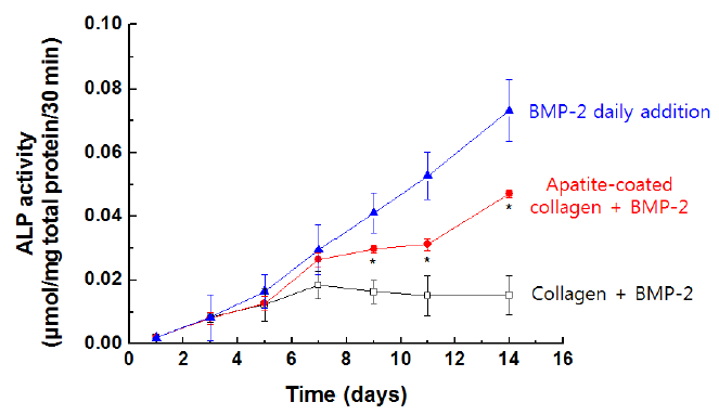 콜라젠 스폰지와 아파타이트가 코팅된 콜라젠 스폰지로부터 방출된 BMP- 2의 활성도.