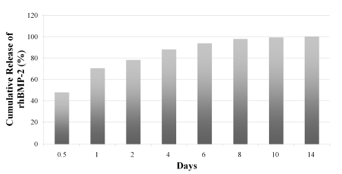 rhBMP-2의 releasing kinetics