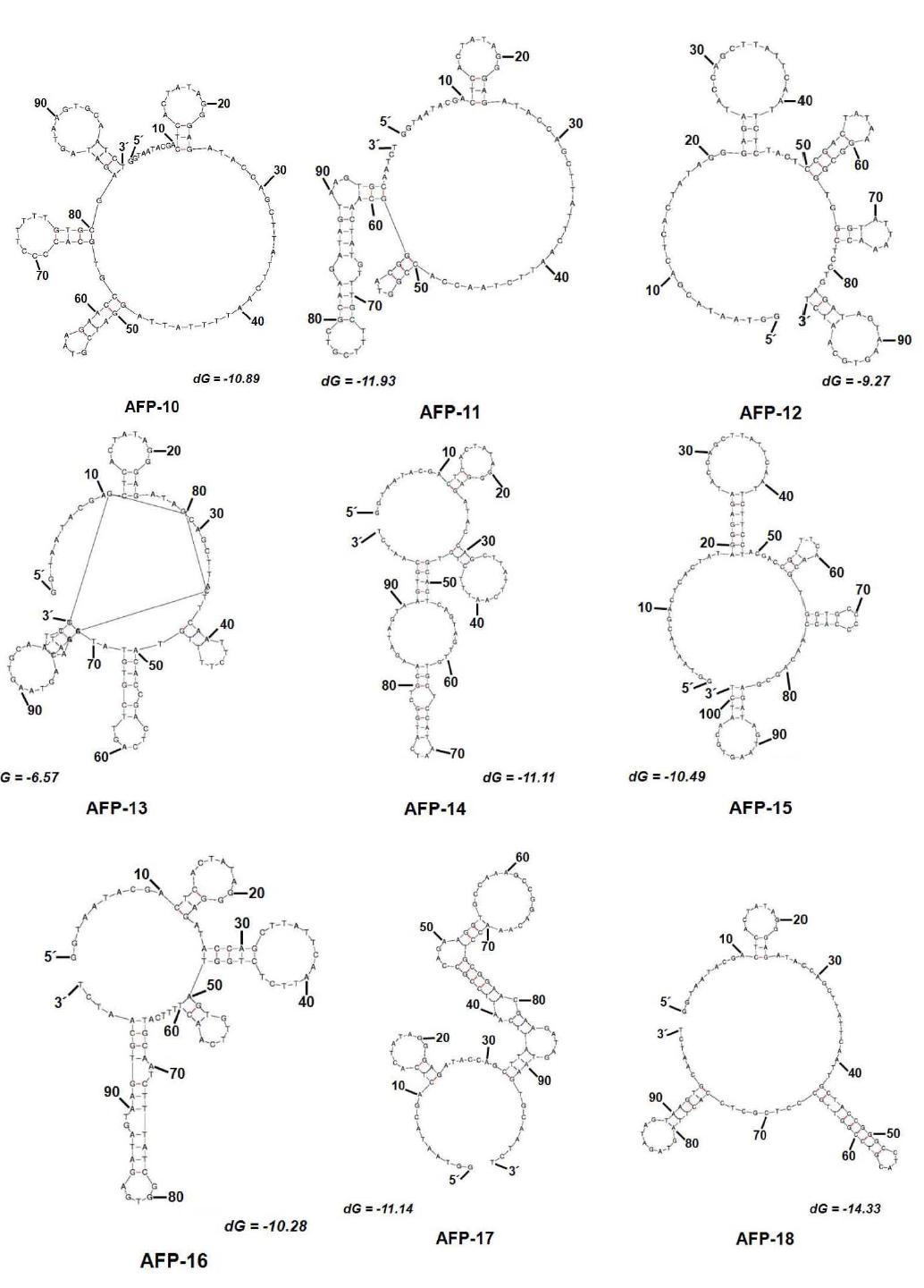 mfold 프로그램을 이용하여 예측된 AFP에 특이적으로 결합하는 DNA 앱타머 후보군들의 구조