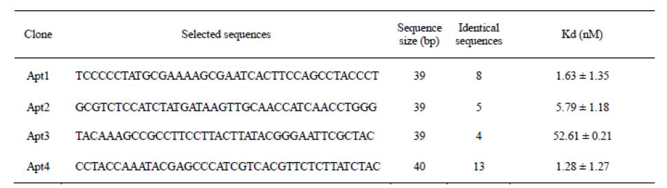 각 CycT1 단백질 결합 RNA 앱타머의 정보 및 해리상수