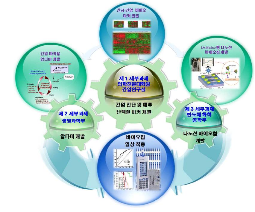 본 연구 세부과제 Network