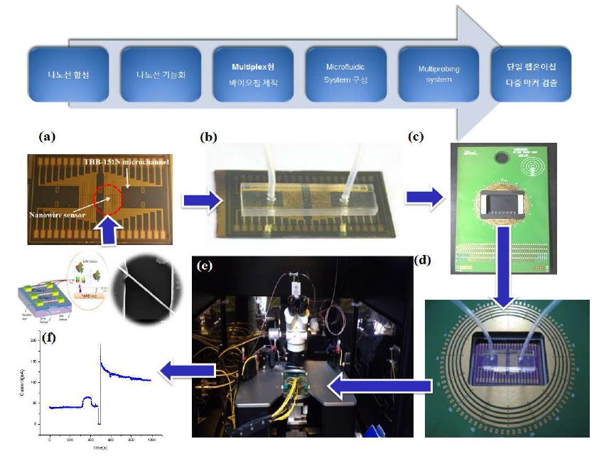 단일 산화물 반도체 나노선바이오센서 설계 및 제작과정 및 Multiplex형 랩온어칩 측정 시스템 구성