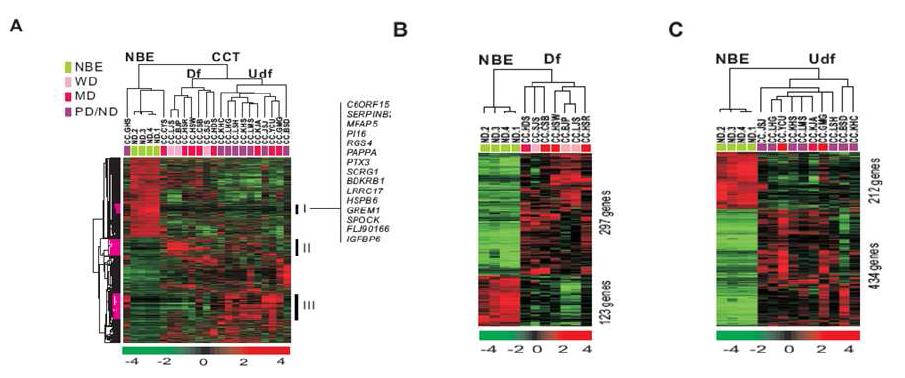 Unsupervised hierarchical clustering of four biliary epithelial cells and 19 CC tissues.