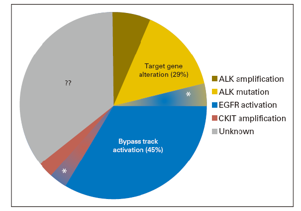Summary of crizotinib resistance mechanisms in anaplastic lymphoma kinase(ALK)