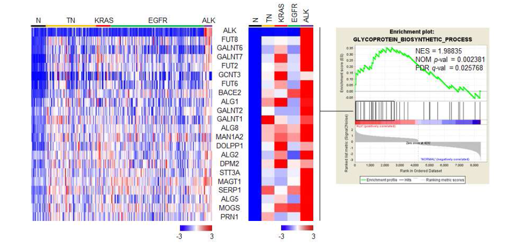 Glycoprotein biosynthetic process에 해당하는 유전자 발현패턴을 보여주는 heatmap.