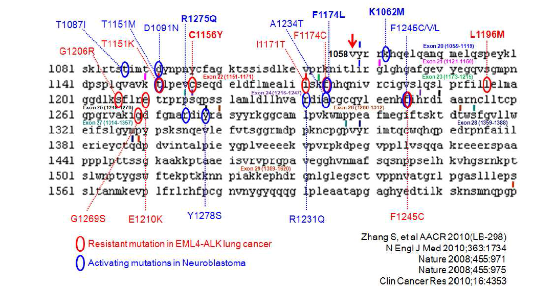 EML4- ALK fusion은 residue 1058에서 시작하며 현재까지 밝혀진 ALK 돌연변이는 상기와 같음