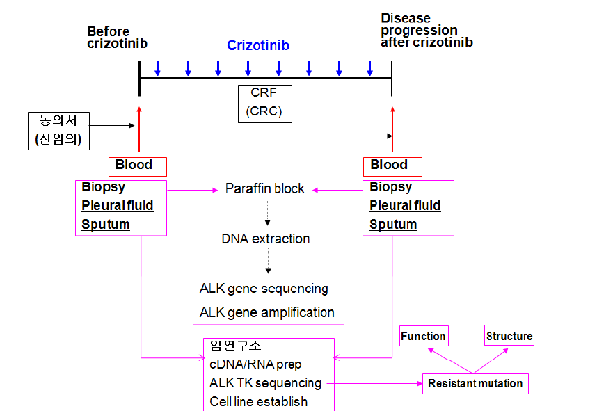 Crizotinib 치료 전/후의 신선동결조직 보관의 도해